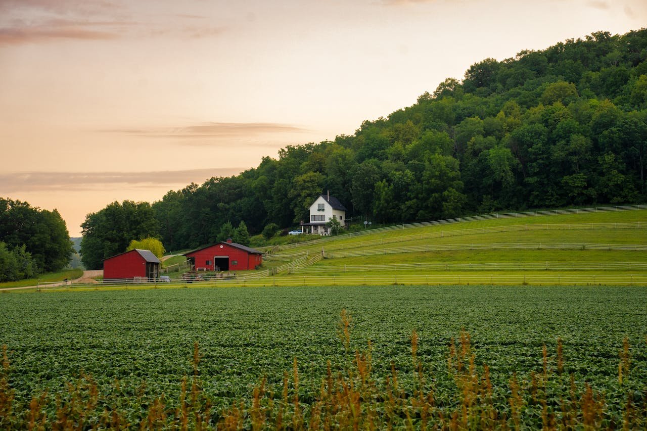Rural Wisconsin landscape in Burnett County